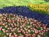 keukenhof-09-april-2011-029 keukenhof-09-april-2011-029