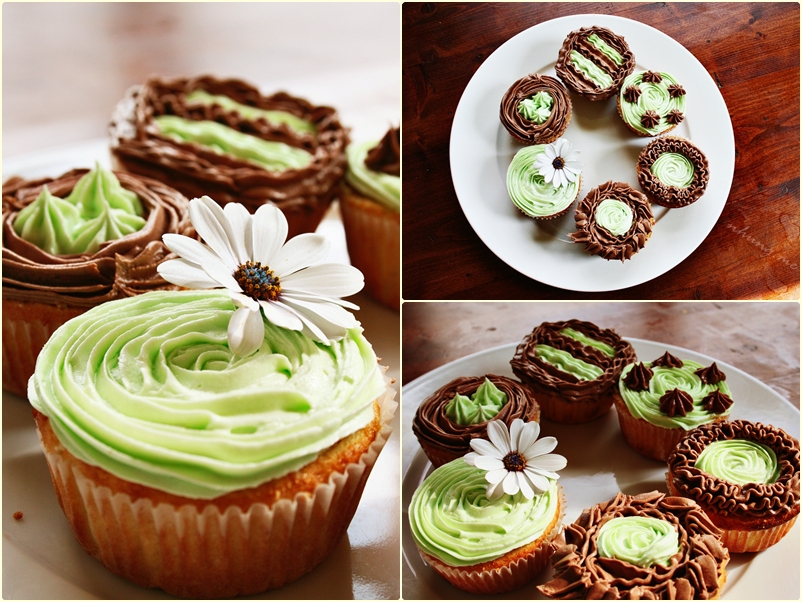 cupcakes 001 May2011without watermark