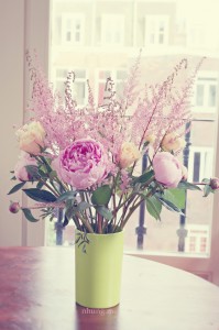 nectarine tart pink flowers 011edwm