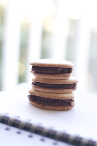 sugar-free-macarons-Feb-2013small